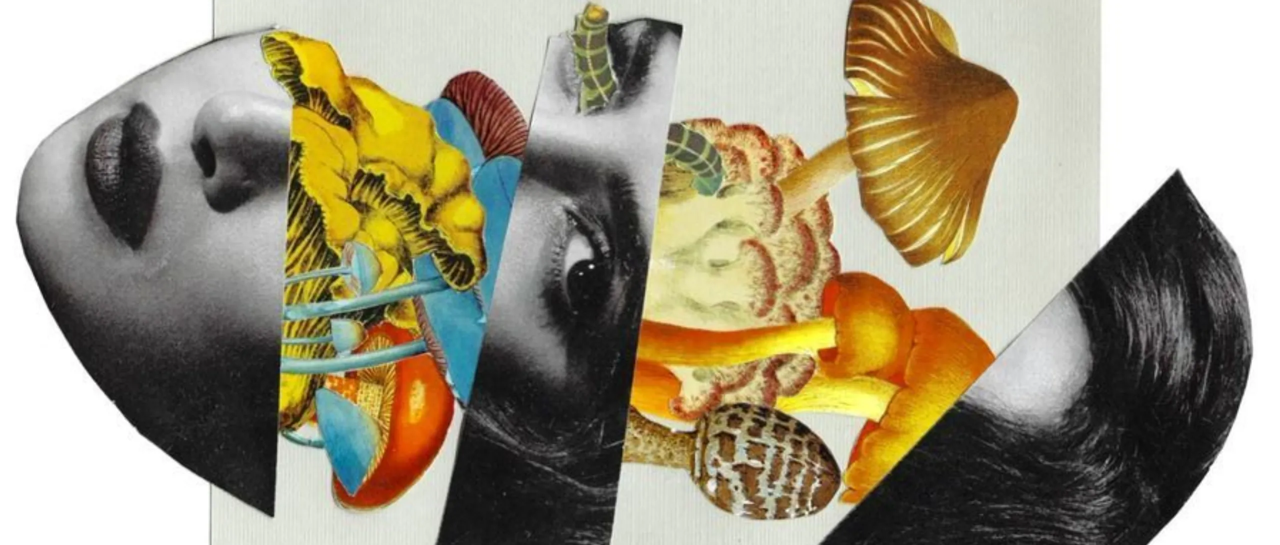 Ilustración conceptual que representa la expansión de la conciencia y los procesos de psicoterapia, microdosis y experiencias psicodélicas en el trabajo terapéutico.